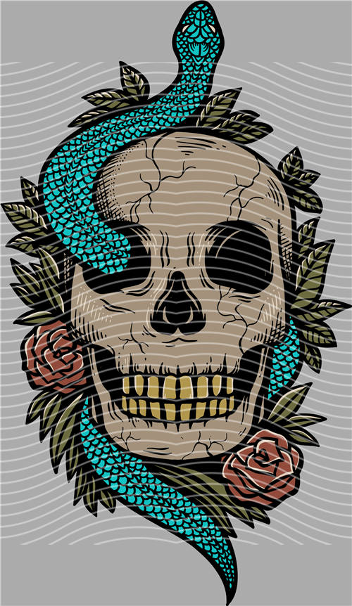 Street design-JT 4477